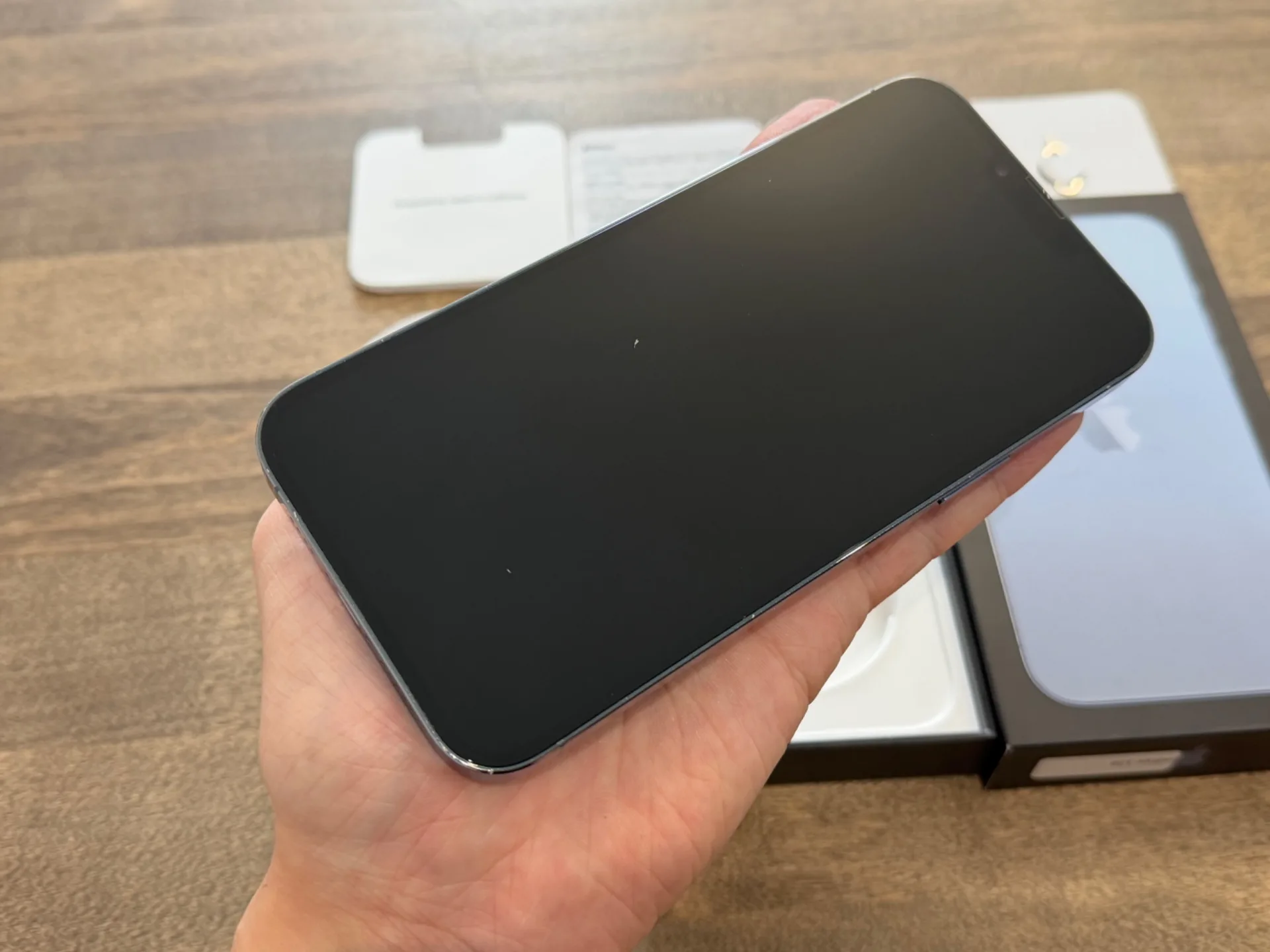 iPhone 13 Pro Max Sierra Blue 256GB