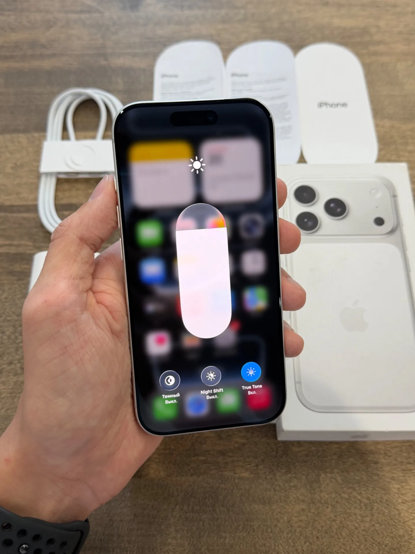 iPhone 17 Pro Silver 1024GB