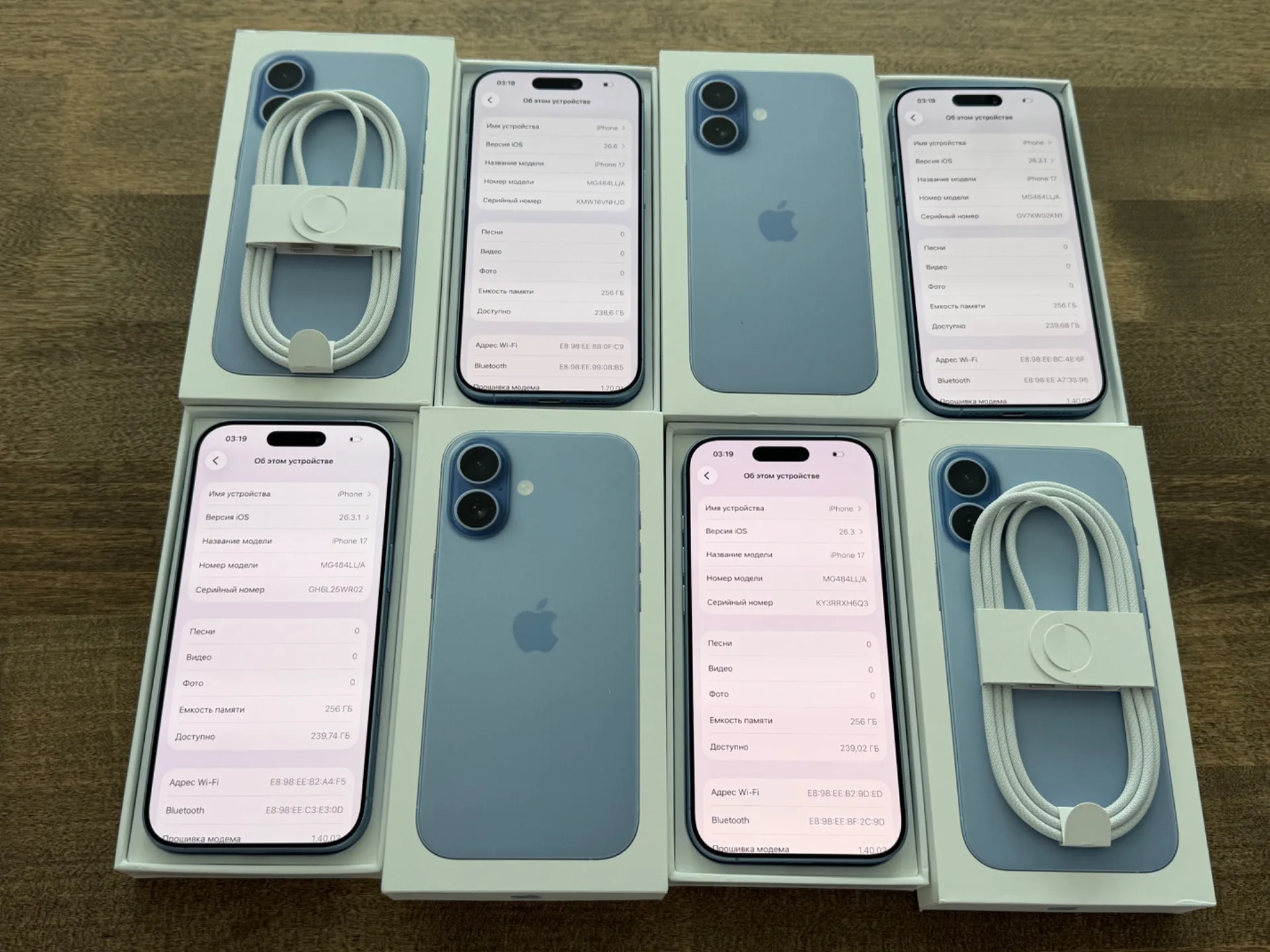 iPhone 17 Mist Blue 256GB