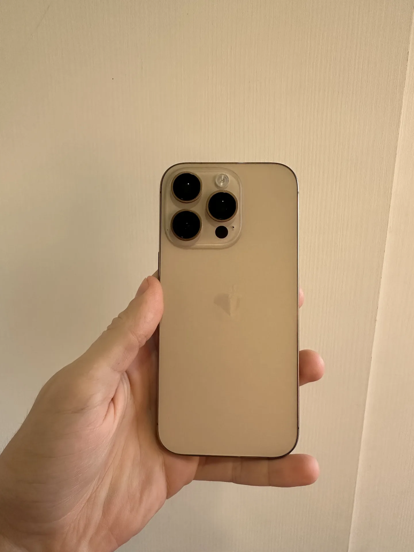 iPhone 16 Pro 256gb