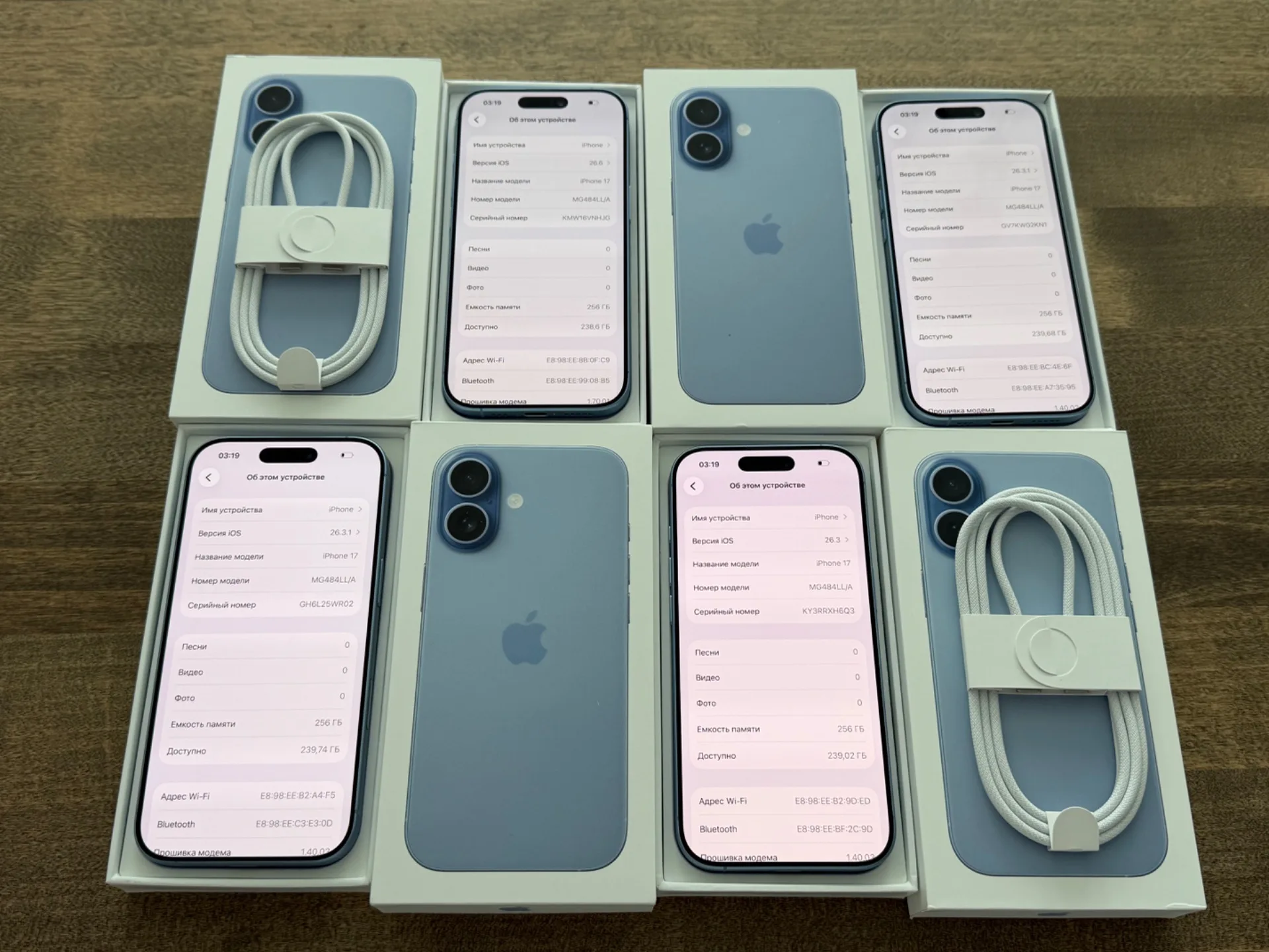 iPhone 17 Mist Blue 256GB