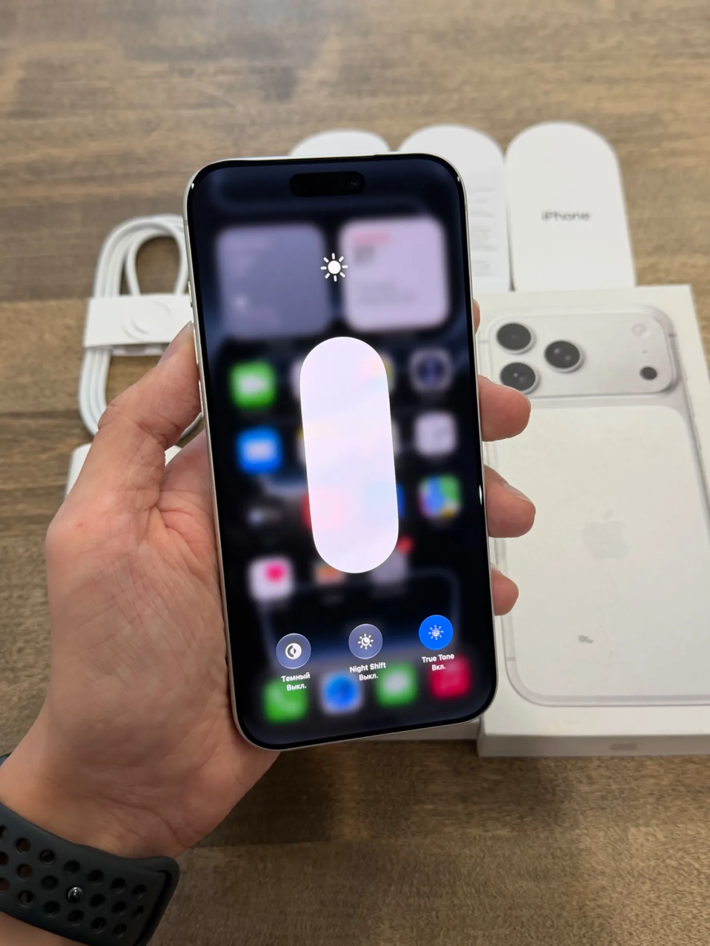 iPhone 17 Pro Max Silver 256GB