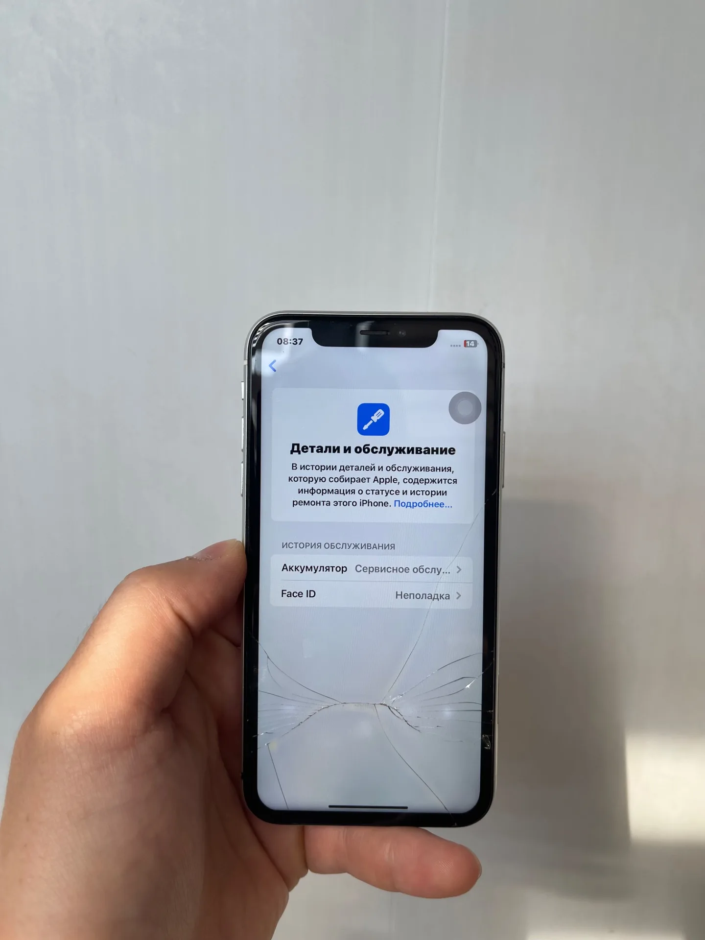 iPhone XR 128 gb